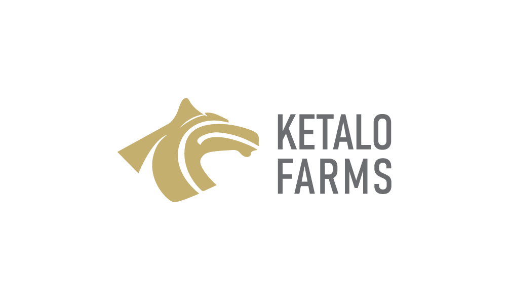 Logo Design by Chau Lun So for this project | Design #29917922