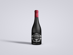 Logo Design by Hishan 3