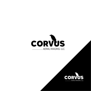 Logo Design by IF