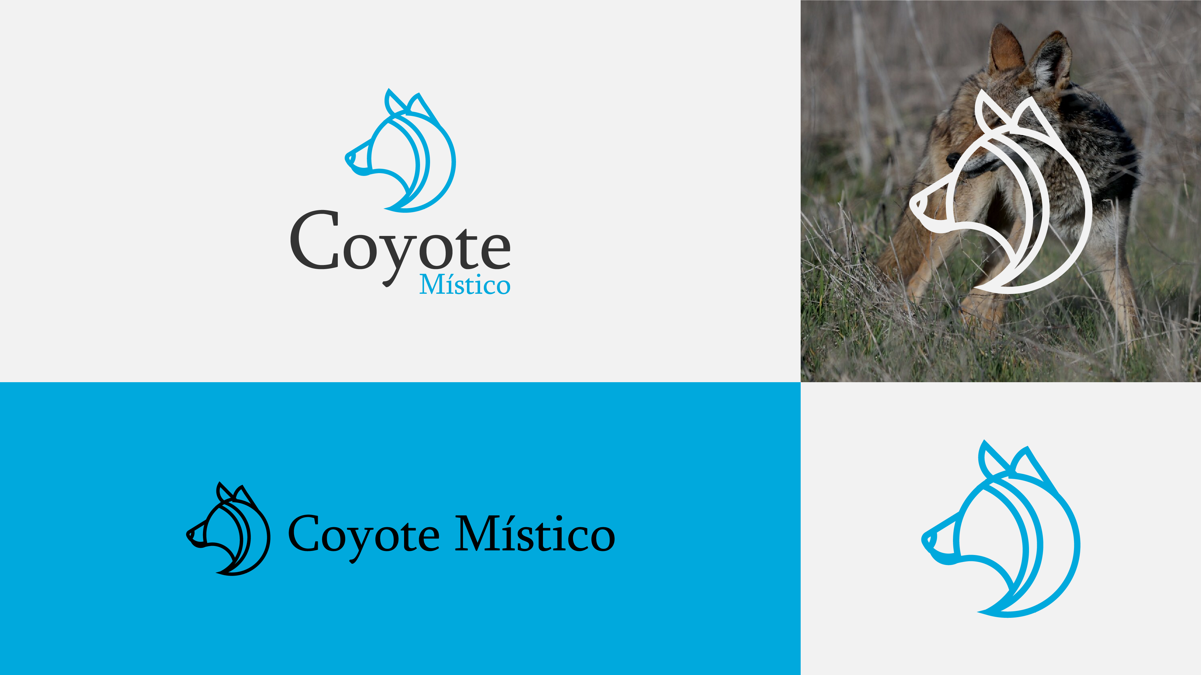 Logo Design by SK. Hossain for this project | Design #29929435