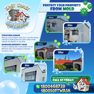 Diseño Gráfico por icirotrisna para East Coast Softwash | Diseño #29926434