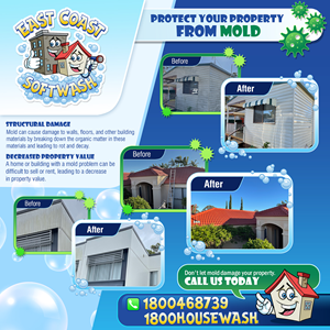 Graphic Design by icirotrisna for East Coast Softwash | Design: #29960001