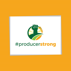 Logo Design by jhunzkie24 for this project | Design: #29929338
