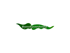 Logo Design by Atvento Graphics for this project | Design: #29935951