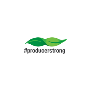 Logo Design by Finley Johnson for this project | Design: #29961936