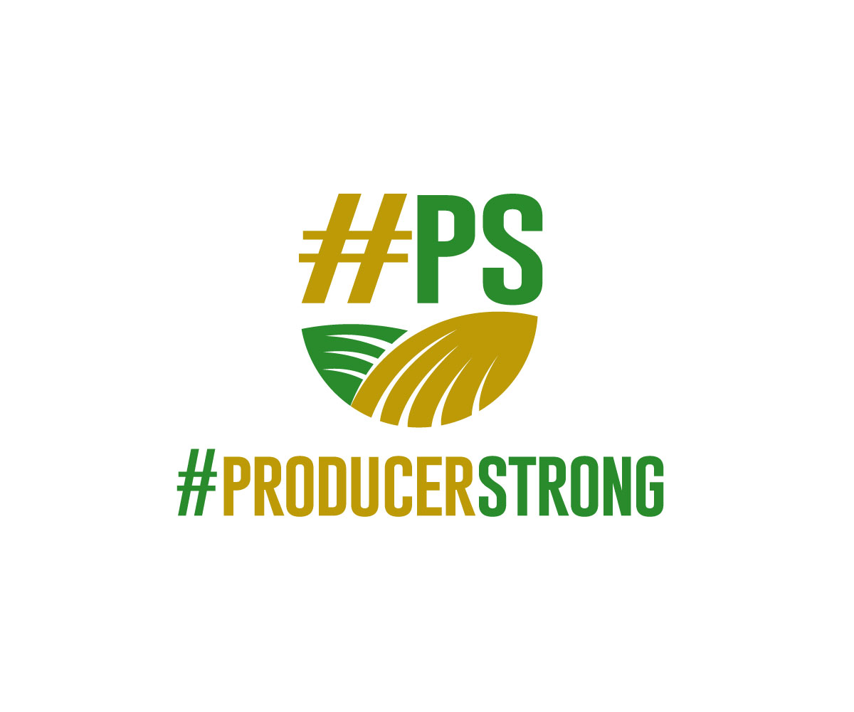 Logo Design by Ansh Design for this project | Design #29931166