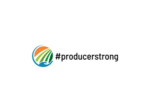 Logo Design by BNdesigner for this project | Design: #29929655
