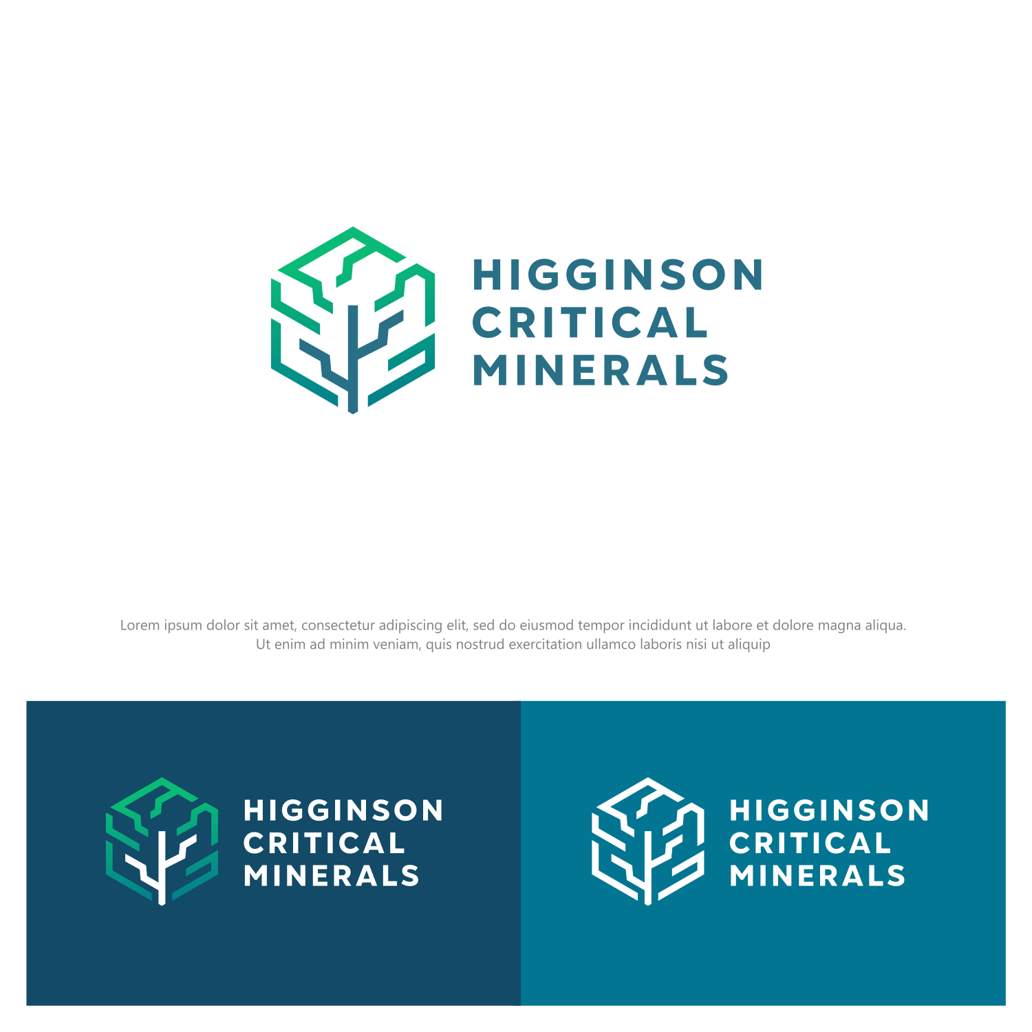 Logo Design by ThiagoB for this project | Design #29932440