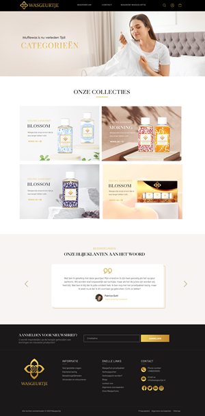 Web Design by Blue Sparrow for this project | Design: #29965267
