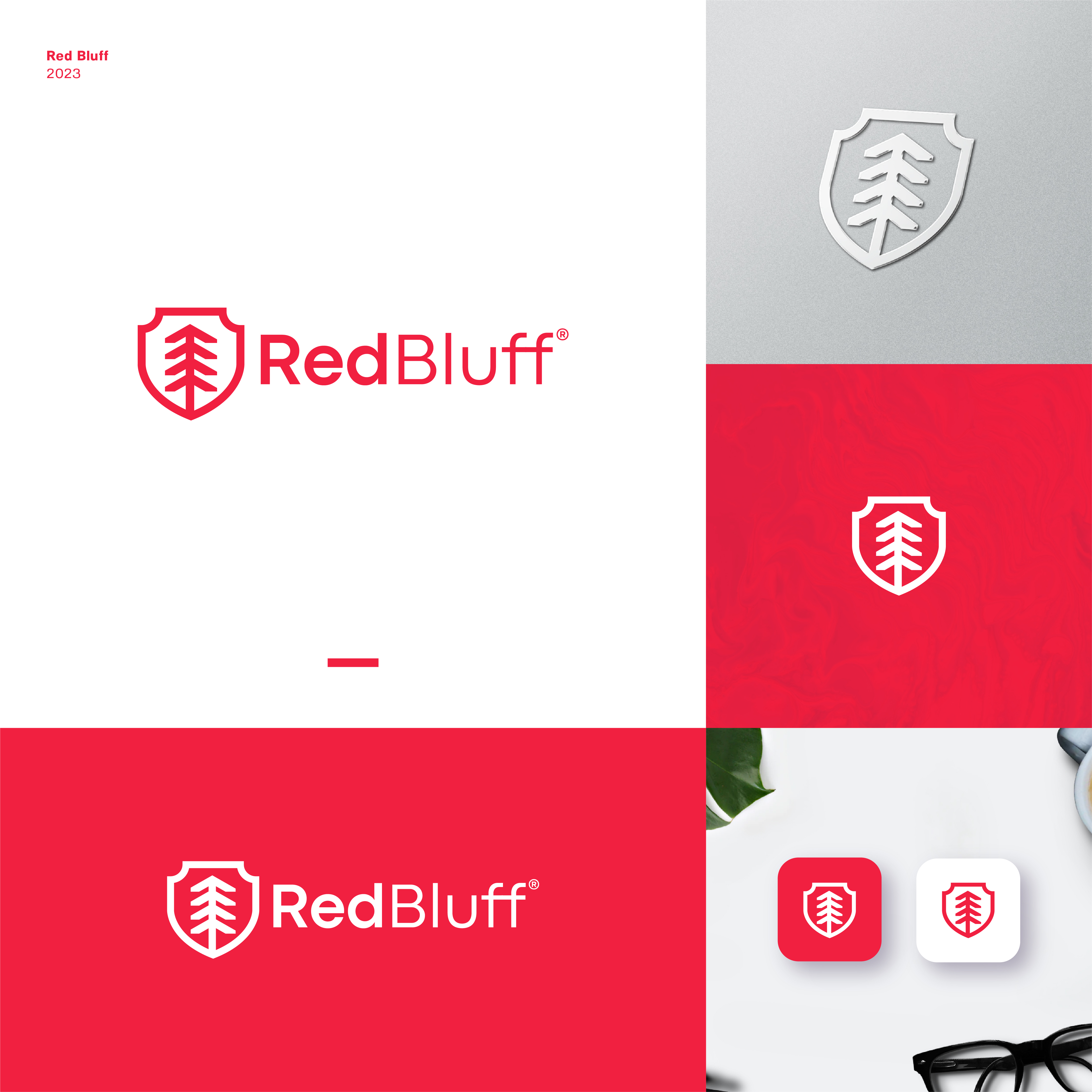 Logo Design by JBalloon Design for this project | Design #29940395