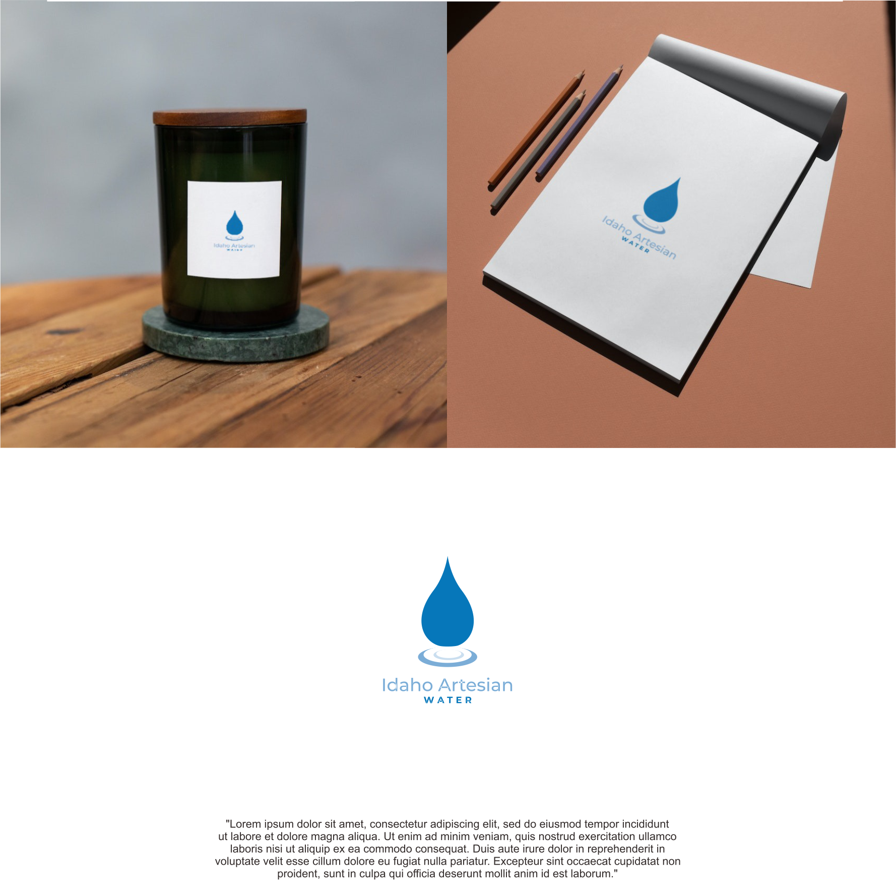 Design de Logo par Harra Graphic pour Idaho Artesian Water | Design #29946955