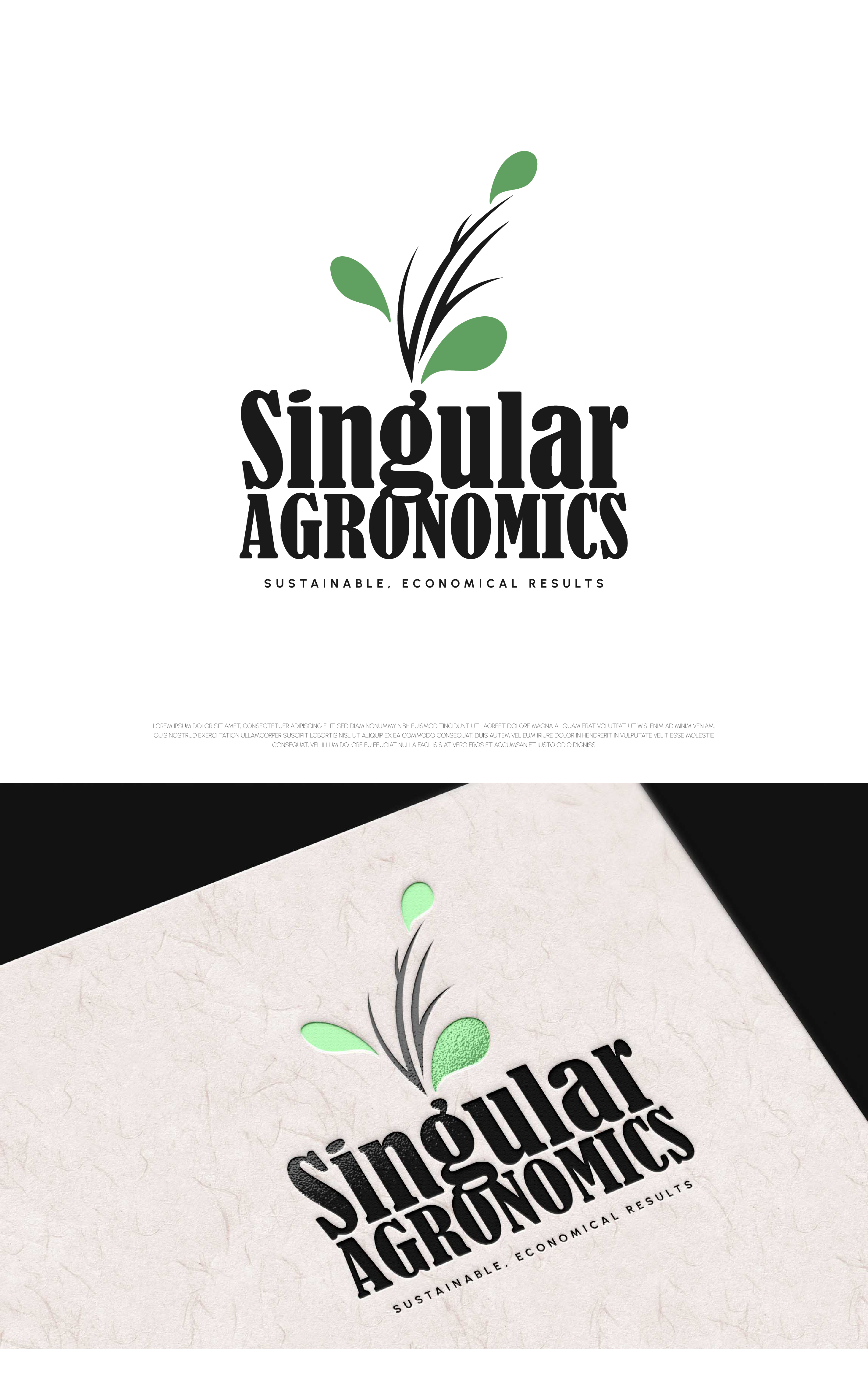 Logo Design by Fezy Design Studio for this project | Design #29940097