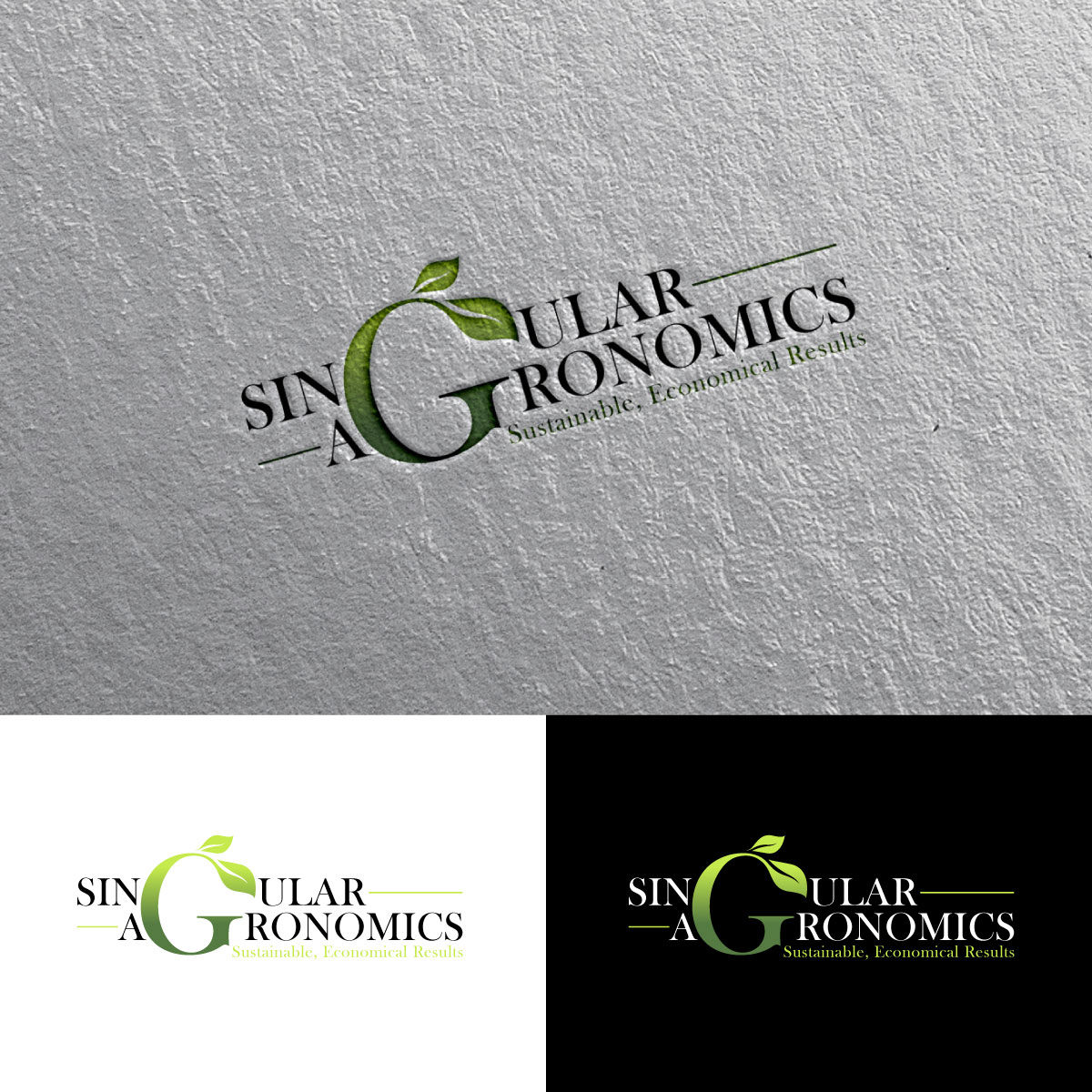 Logo Design by chris Ray for this project | Design #29936489