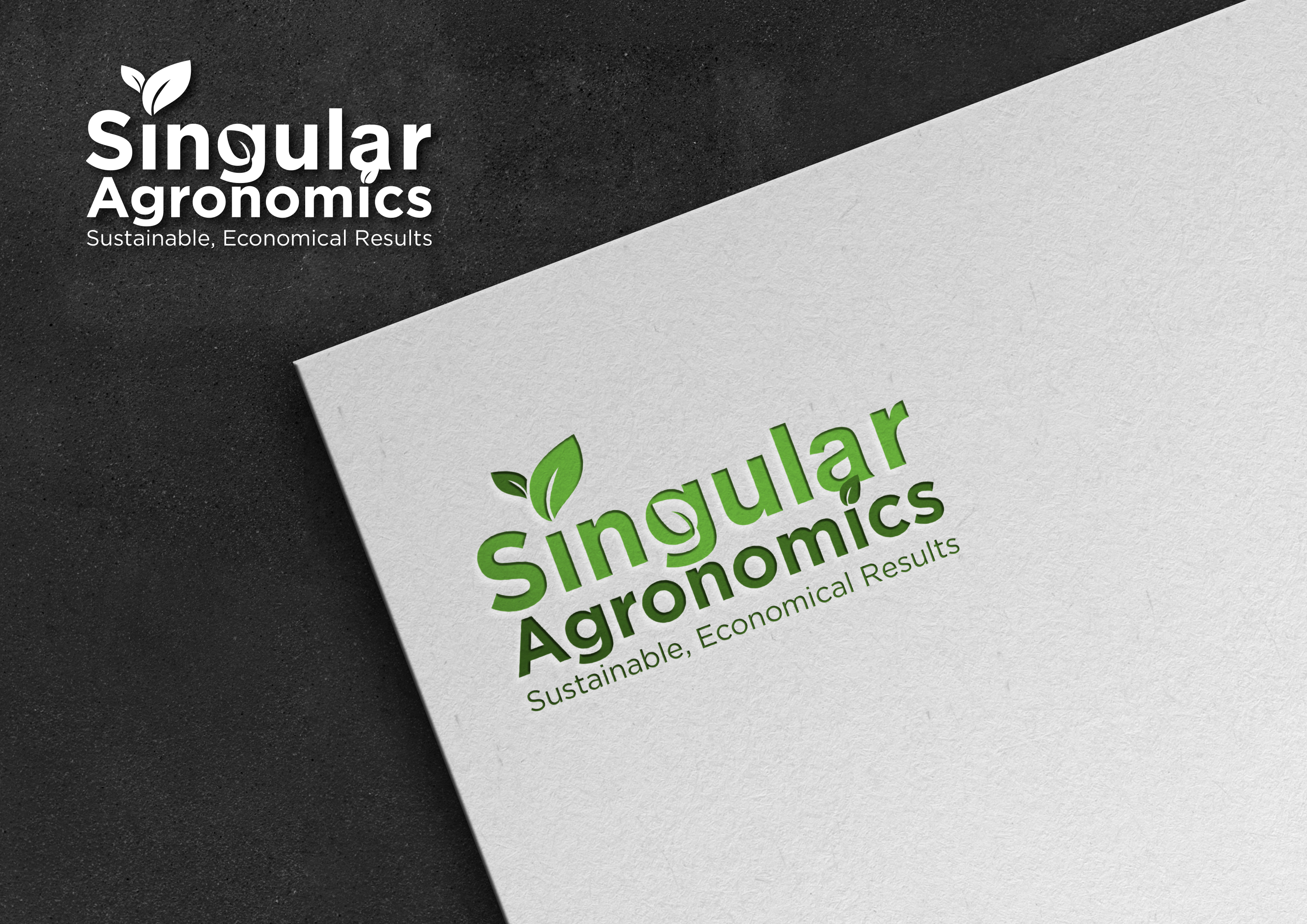 Logo-Design von rastf2day für dieses Projekt | Design #29941534