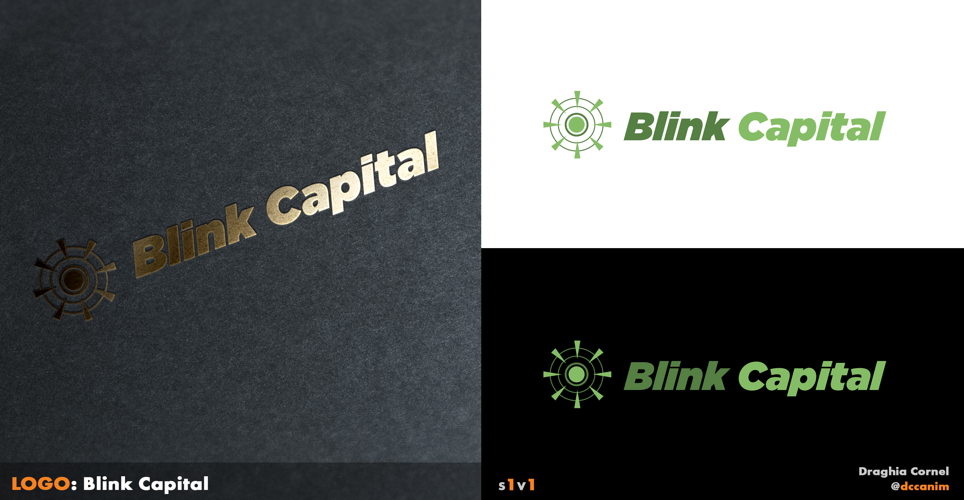 Design de Logo par dccanim pour ce projet | Design #29943844
