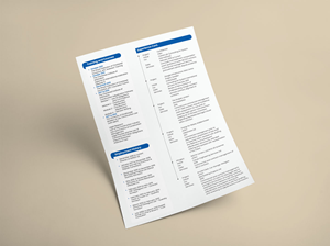 Resume Design by VirtueDesignPro for this project | Design: #29959069
