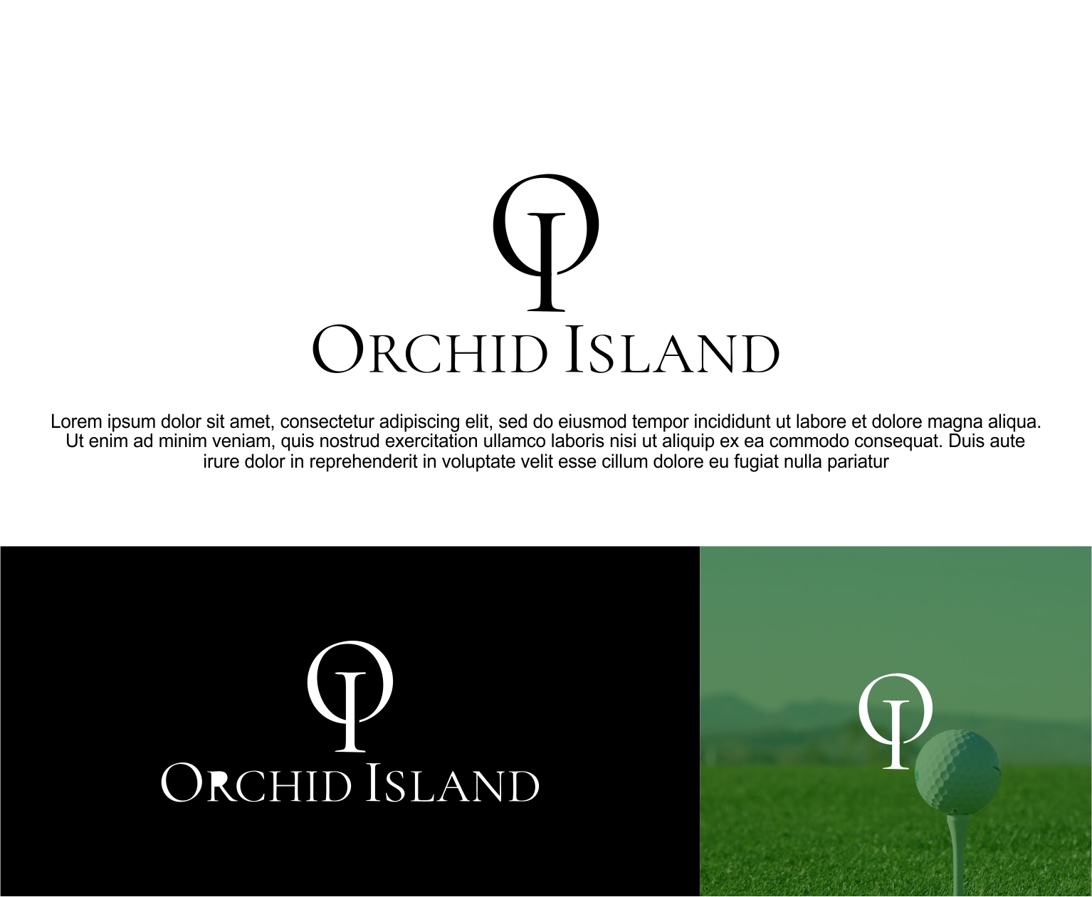 Diseño de Logo por GI ART para Cotton & Company | Diseño #29948439