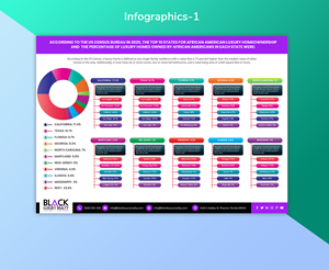 Infographic Design by Expert Designer