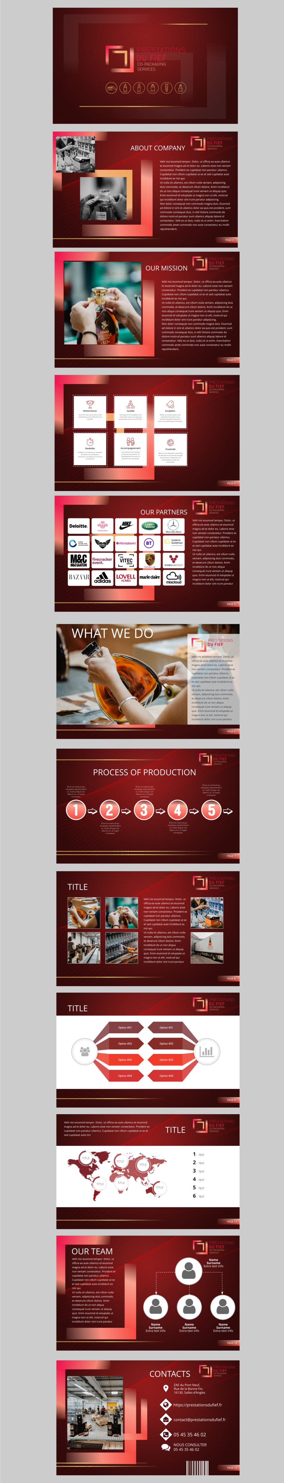 PowerPoint Design by elveneclipse for this project | Design #29978454