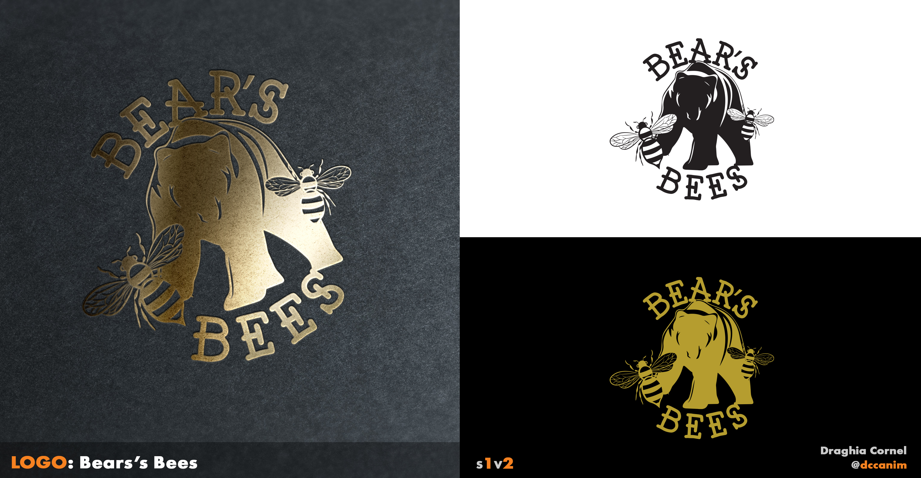 Logo Design by dccanim for this project | Design #29970210