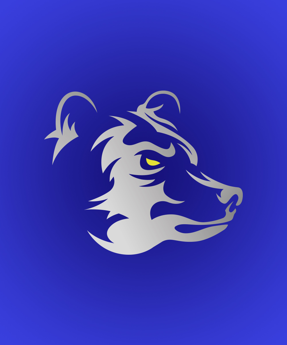 Logo Design by StudioD™ for Bearish Outdoors | Design #29952278