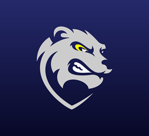 Logo Design by Farhad Design for Bearish Outdoors | Design #29952436
