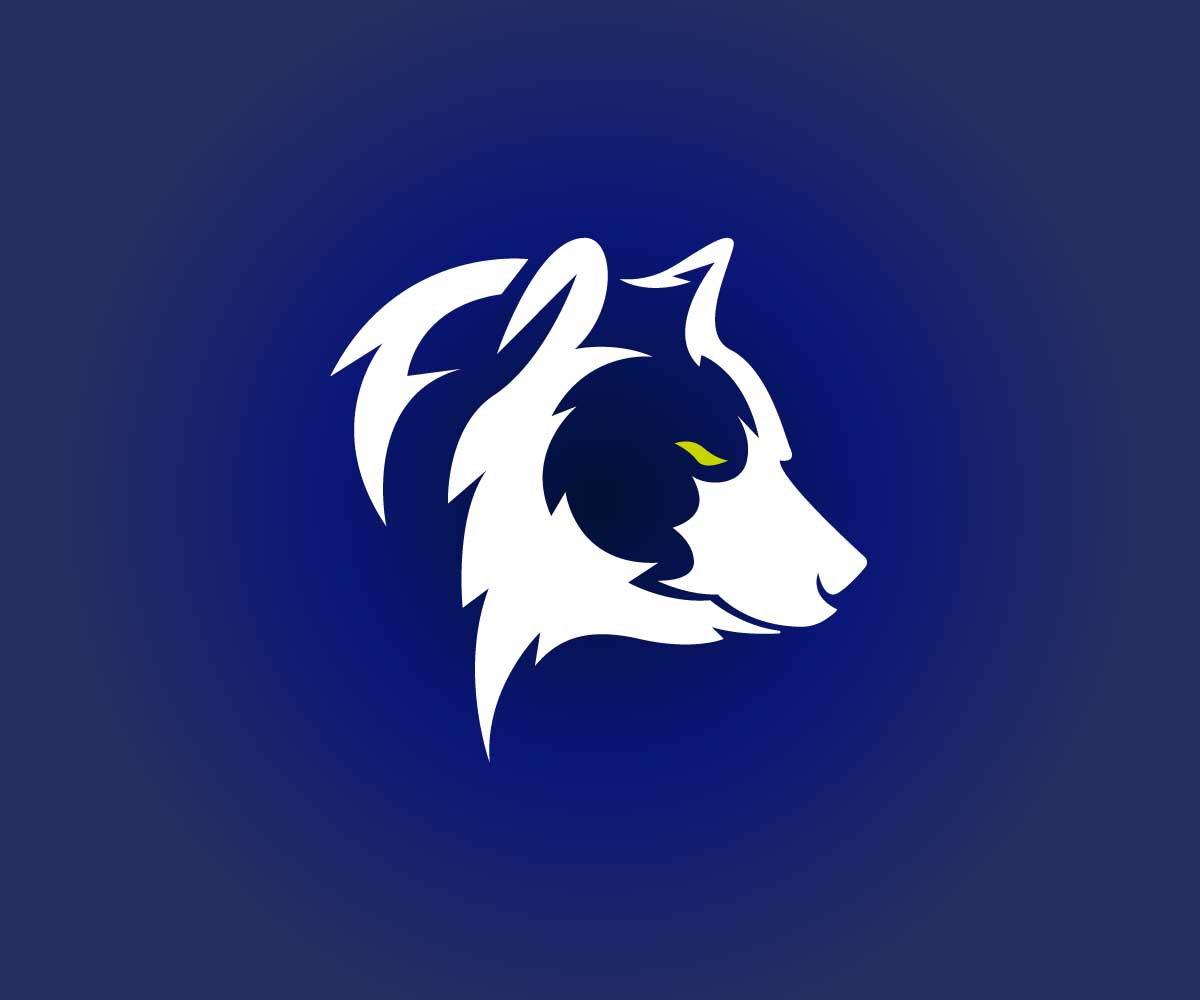 Logo Design by VirtueDesignPro for Bearish Outdoors | Design #29954112