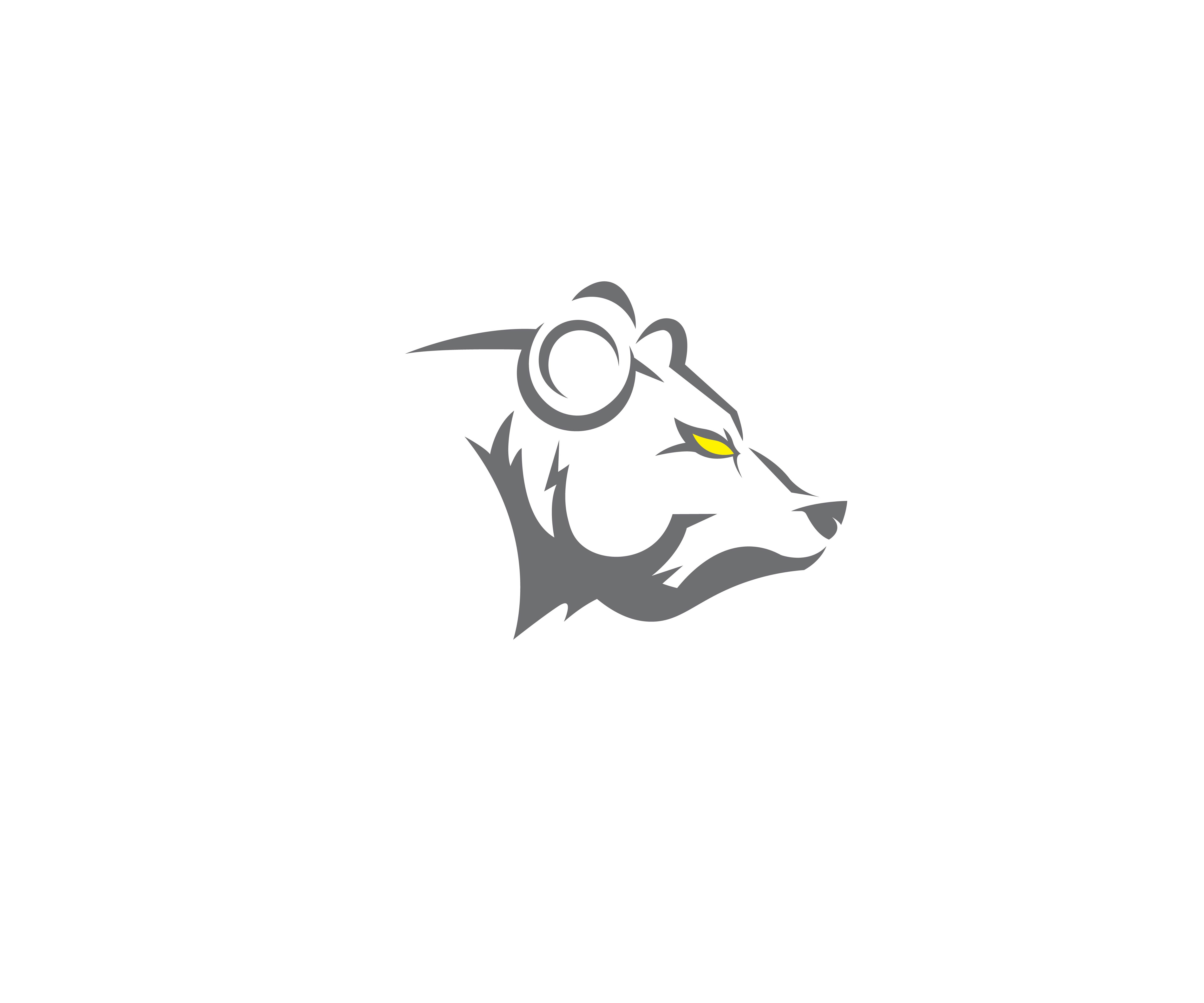 Design de Logo par POKSUKUMAT BIJUTSU pour Bearish Outdoors | Design #29956868