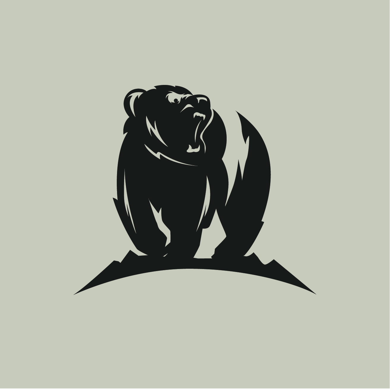 Logo Design by mani786 for Bearish Outdoors | Design #29971882