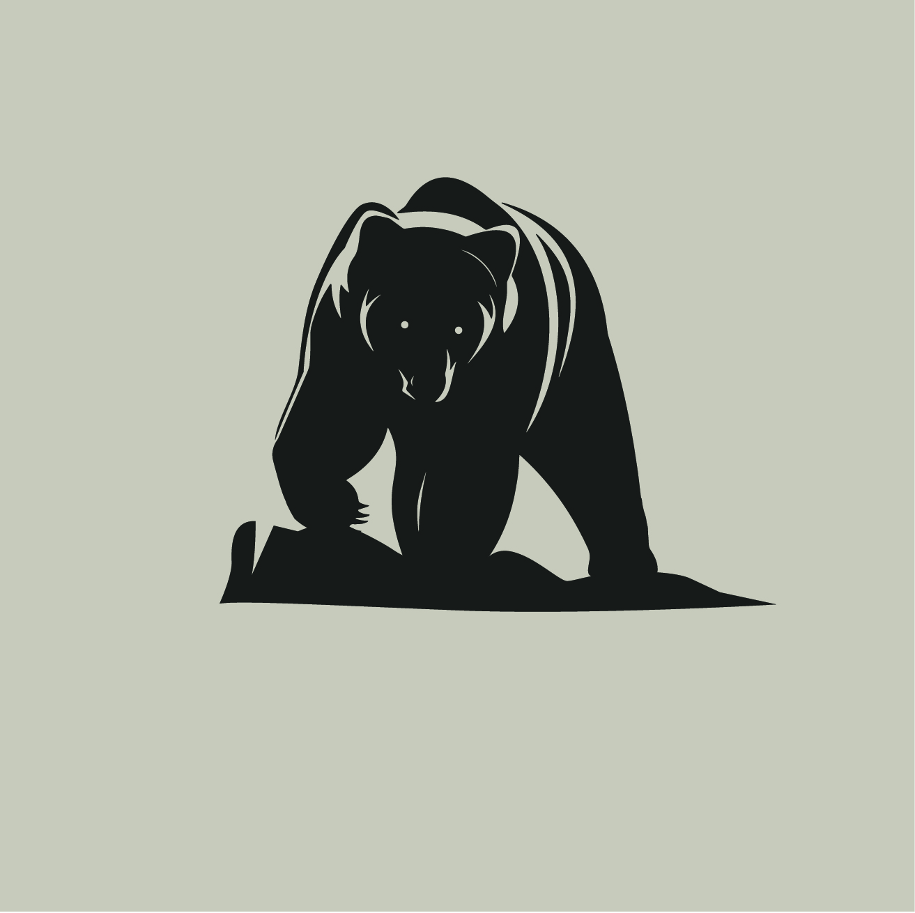 Logo Design by mani786 for Bearish Outdoors | Design #29971883