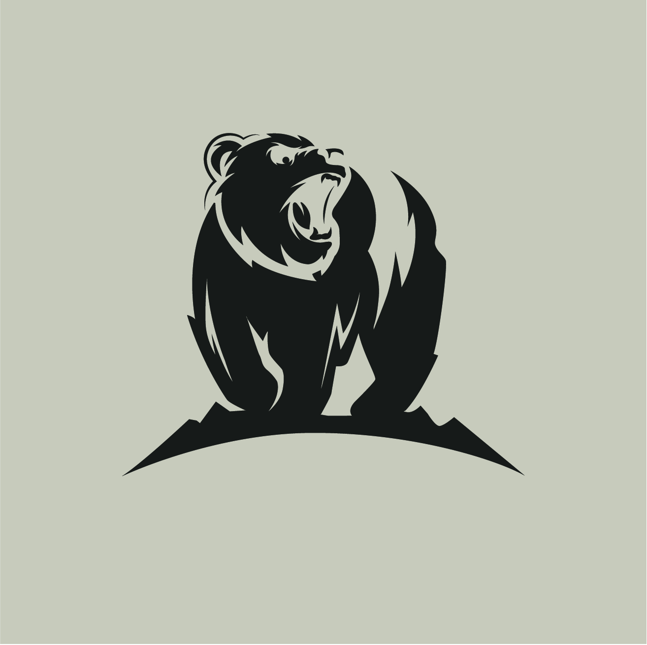 Logo Design by mani786 for Bearish Outdoors | Design #29971884