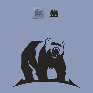 Design Image