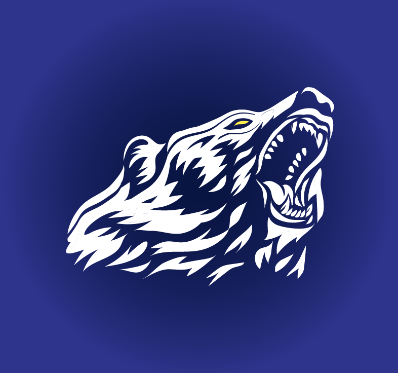 Logo Design by Design Republic for Bearish Outdoors | Design #29954419