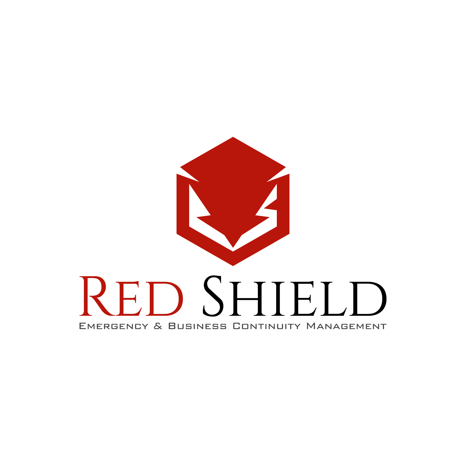 Diseño de Logo por moisesf para este proyecto | Diseño #29995903