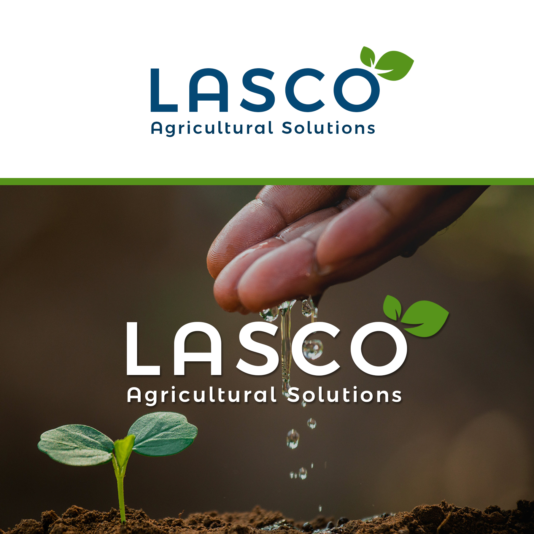 Logo Design by Neelam Jahagirdar for this project | Design #29999444