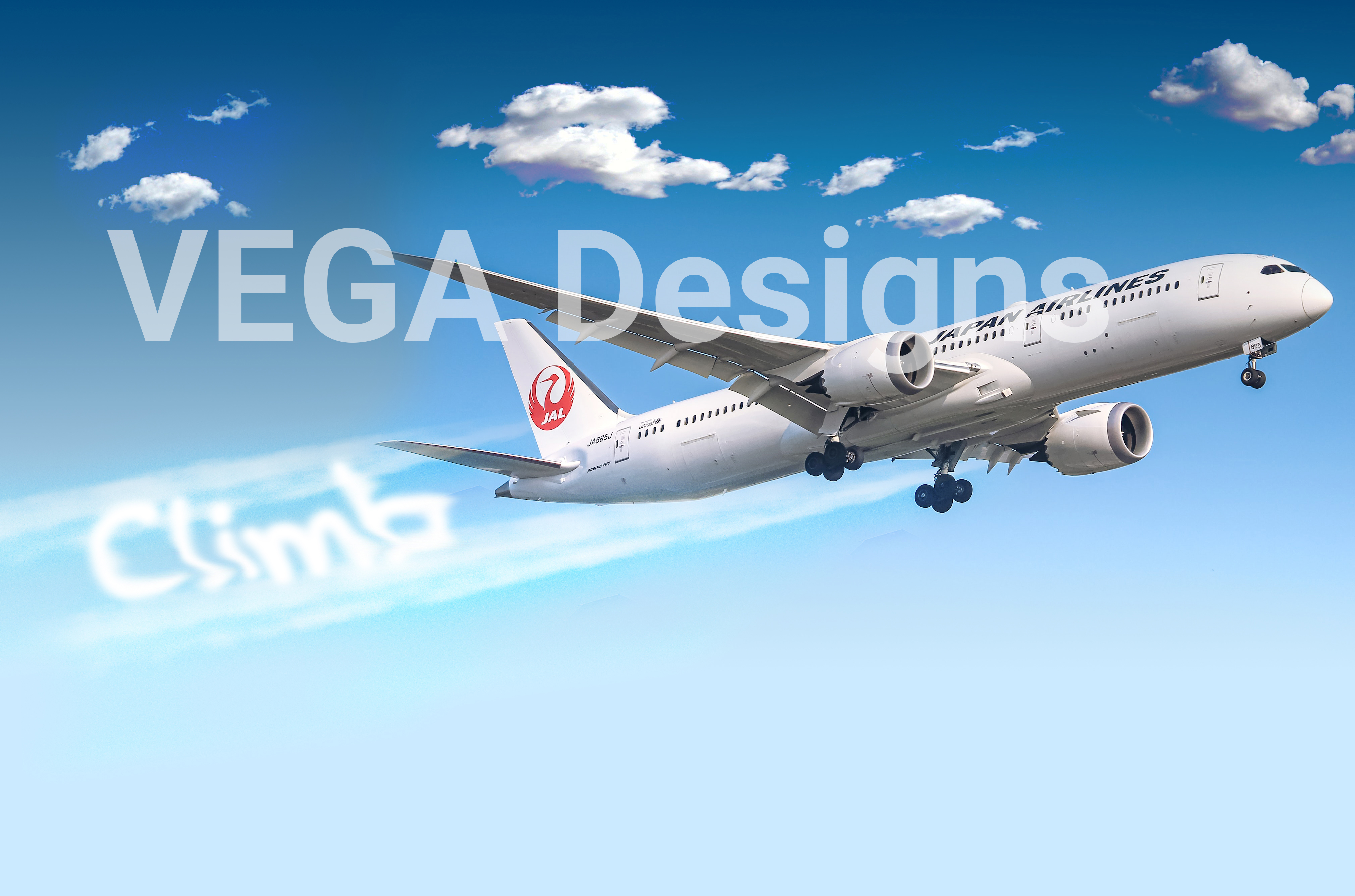 Flyer Design by VEGA-Designs for this project | Design #29964231