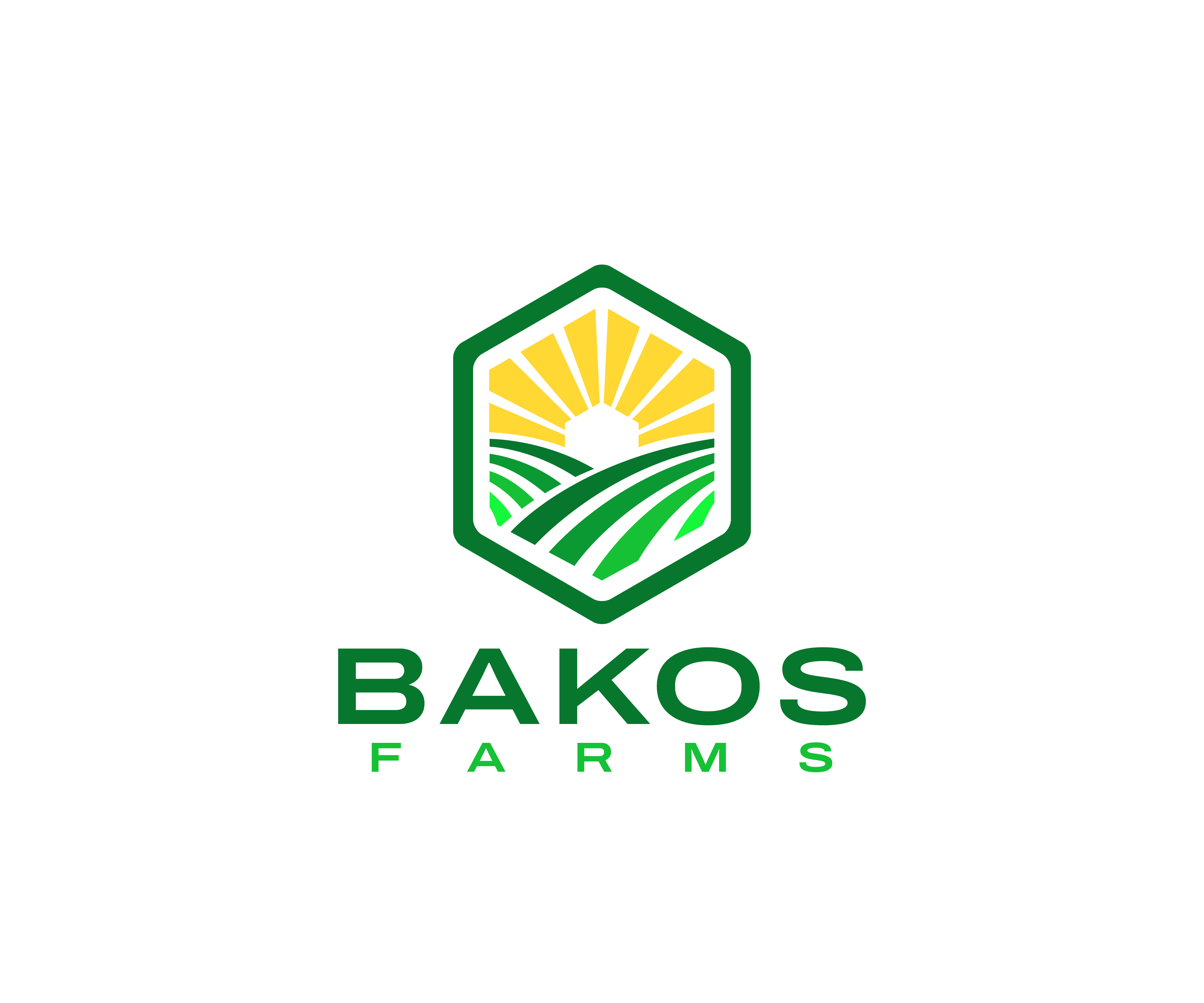 Diseño de Logo por James J. para este proyecto | Diseño #29973027