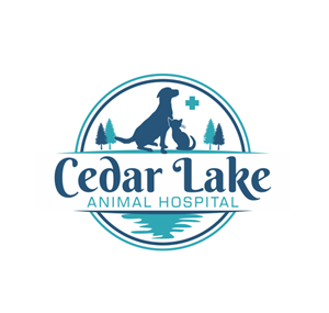 Logo Design by Maya*
