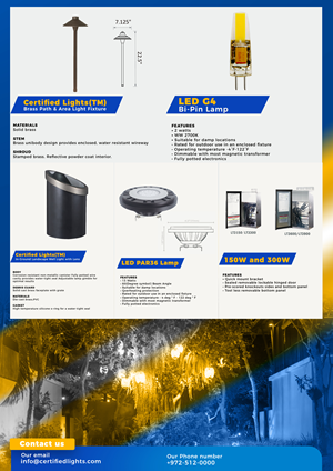 Flyer Design by Designwithazan for this project | Design: #30032207