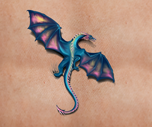 Pet dragon