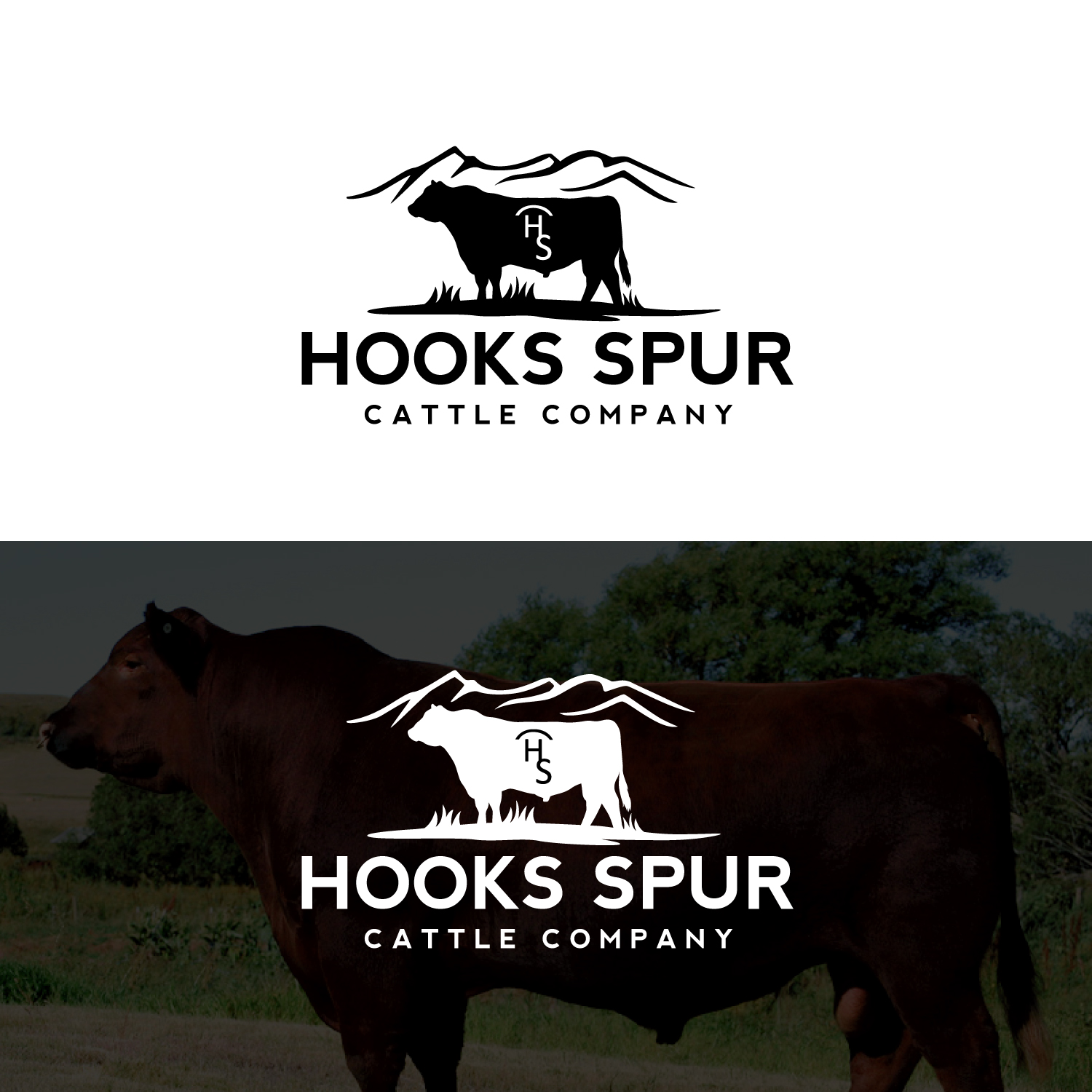 Logo Design by Revolt Team for this project | Design #29988348