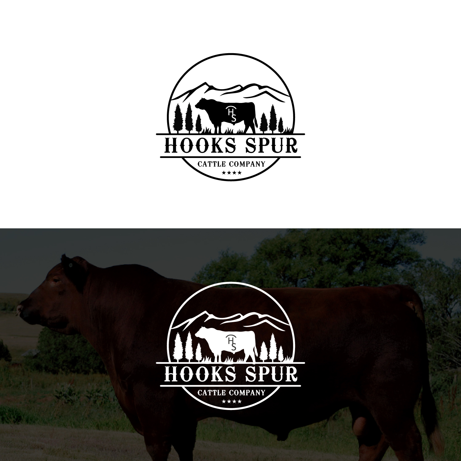 Design de Logo par Revolt Team pour ce projet | Design #29988430