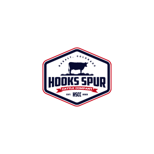 Design de Logo par 1975oliverocampo pour ce projet | Design : #29987774