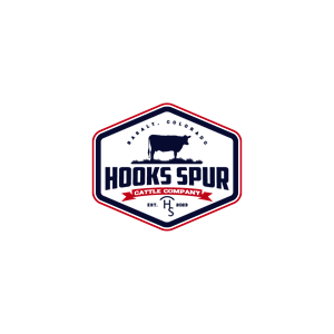 Design de Logo par 1975oliverocampo pour ce projet | Design : #30022814