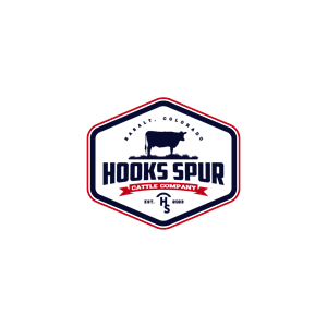 Design de Logo par 1975oliverocampo pour ce projet | Design : #30029198