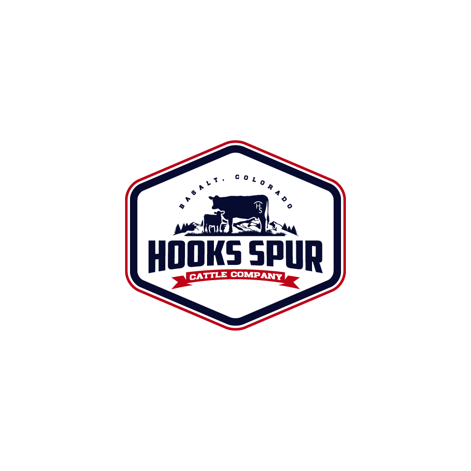 Design de Logo par 1975oliverocampo pour ce projet | Design #30114822
