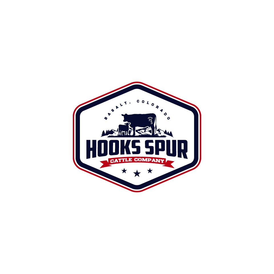 Design de Logo par 1975oliverocampo pour ce projet | Design #30115194