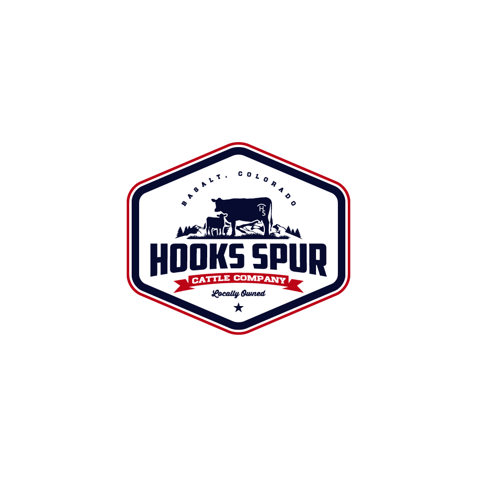 Logo Design by 1975oliverocampo for this project | Design #30115697