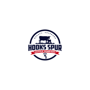 Logo-Design von 1975oliverocampo für dieses Projekt | Design #30145035