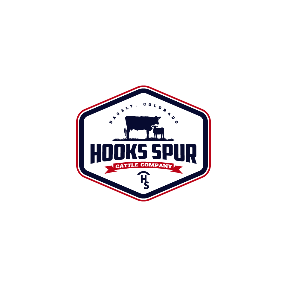 Logo Design by 1975oliverocampo for this project | Design #30145053